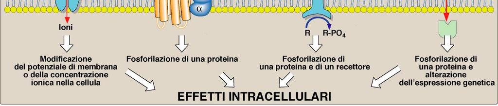 FARMACOLOGIA,