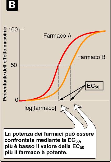 risposta La risposta è stimabile in quanto esiste una relazione diretta con la concentrazione del farmaco: Curva