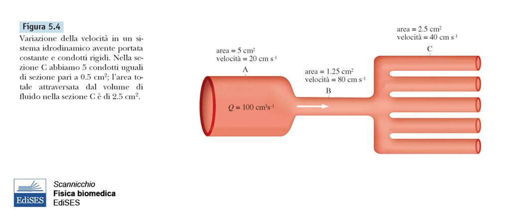 Applicazione dell equazione di continuità La sezione B (,5 cm ) è ¼ della sezione A (5 cm ) e quindi in B la velocità è 4 volte superiore rispetto ad A.