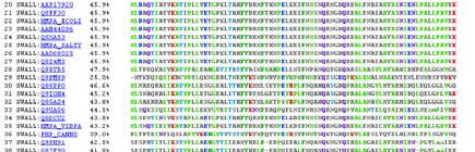 0013 gi 7492240 pir T38936 non-histone chromosomal protein high mobility ( 108) 176 43 0.0018 gi 1079088 pir S47596 MG1-like protein - fruit fly (Drosophila mel ( 216) 180 44 0.