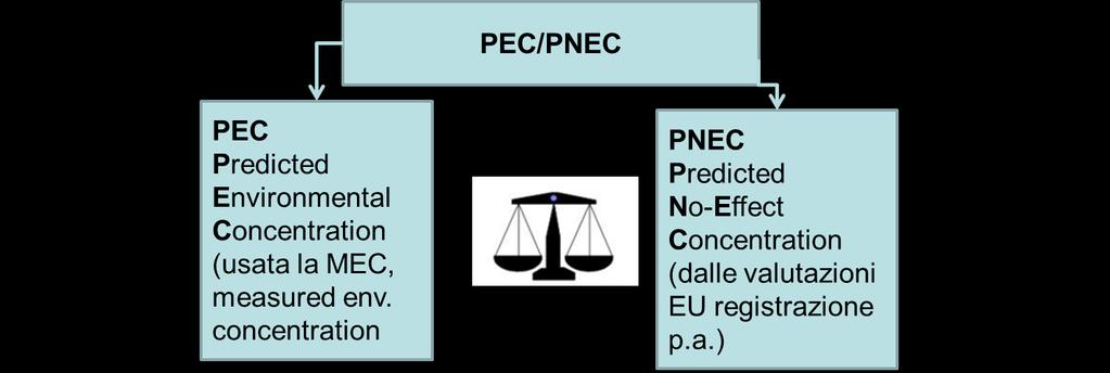 Glossario MEC: Measured Environmental Concentrations PNEC: Predicted