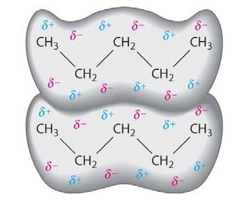 Non potendo formare legami a idrogeno, gli alcani non sono solubili in acqua, mentre lo sono nei solventi apolari, quali benzene, etere