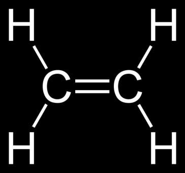 atomi di carbonio sono legati con altri atomi quali idrogeno, ossigeno, azoto