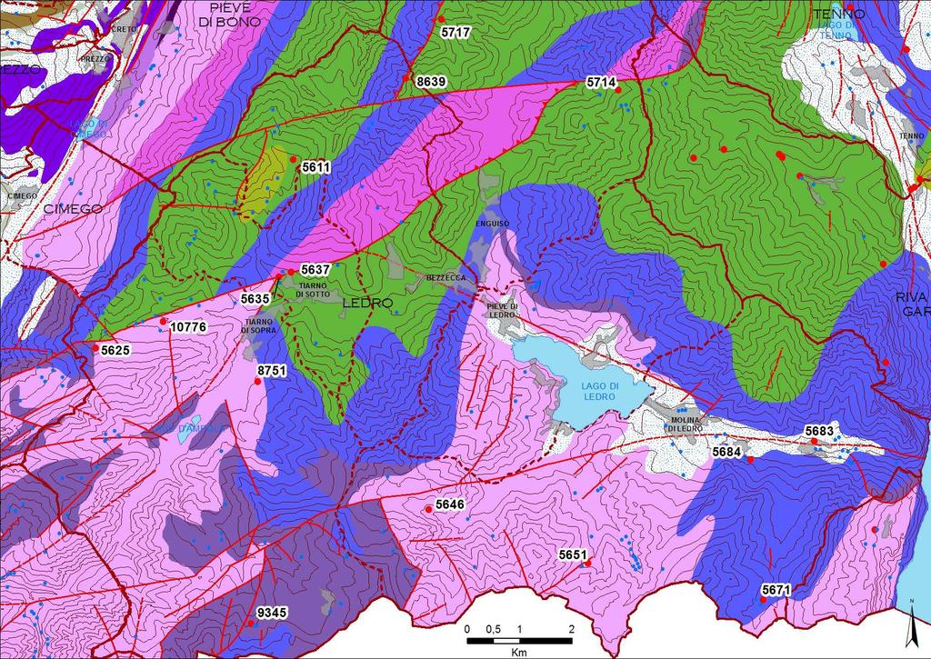 Figura 2 : mappa litologica e strutturale schematica con l ubicazione delle sorgenti selezionate ed analizzate (in rosso) con il relativo codice.