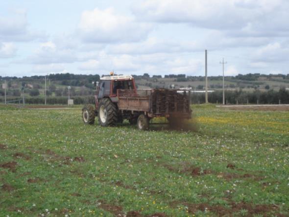 IL COMPOST BENEFICI AGRONOMICI Migliora