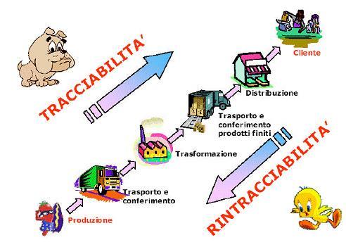 Un sistema di Rintracciabilità deve permettere di ricostruire la storia delle unità di prodotto finito lungo il flusso logistico che si caratterizza per: aree di trasformazione: zone dove la materia