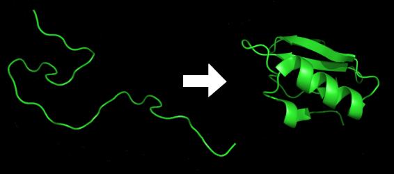 Risultati attesi: Complessità Saprete Come riconoscere un problema computazionalmente difficile se vi capita Come modellare la computazione, in vari settori: Cellule/DNA, nel cervello, sistemi