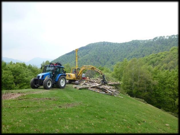 LA CERTIFICAZIONE DELLA GFS La certificazione rappresenta un interessante opportunità per la filiera foresta-legno