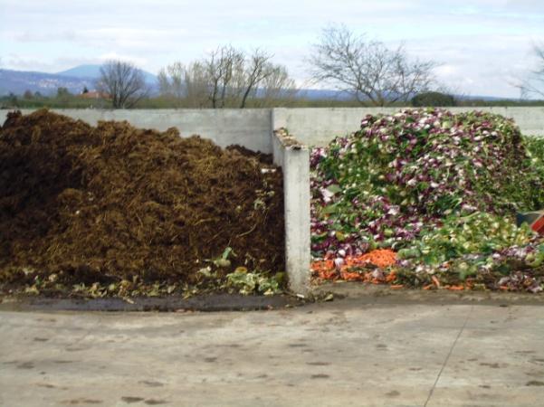 loietto destinati all alimentazione dei bovini e in parte ad insilati per la produzione di biogas Allevamento di circa 700 vacche da latte