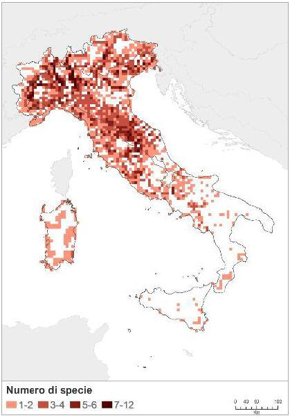 , 2014 L ultima verifica (effettuata nel 2014) conferma che la maggior parte delle specie ittiche presenta