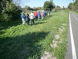 Si abbandona quindi la Via Sacra, attraversando la pista ciclabile e percorrendo un tratto