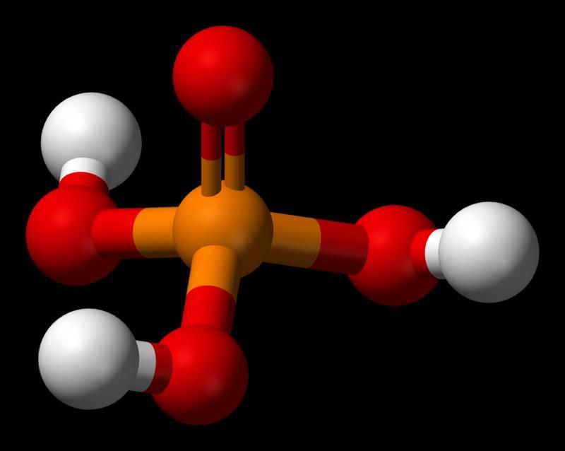 lo ione fosfato è uno dei tre principali nutrienti delle piante.