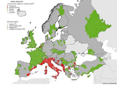 WN in Italia 2008-2012 1998 Fonte: ISPRA Implementazione Indicatori