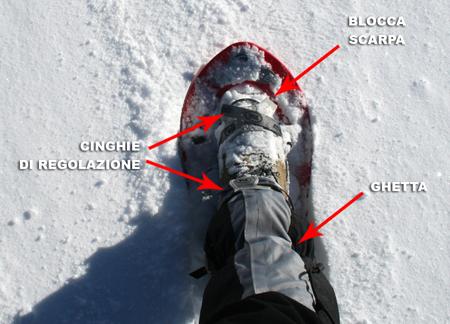 Esempio di ciaspola Come e dove si utilizzano Le ciaspole permettono di camminare sulla neve senza affondare troppo e quindi con un notevole risparmio di fatica, vanno usate sempre con i bastoncini