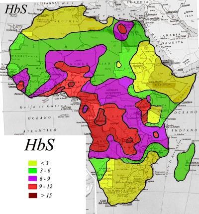 Diffusione in Africa dell emoglobina