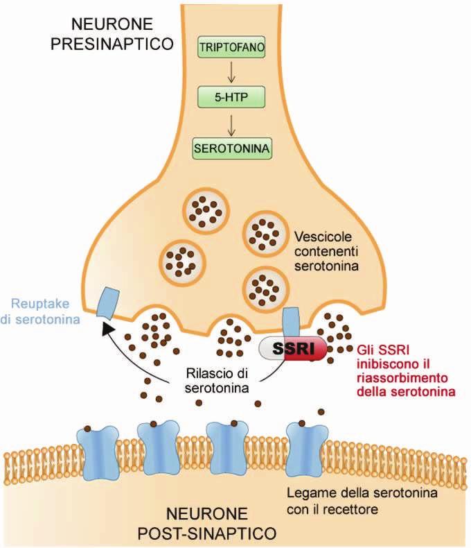 menopausali A non hotmonaltreatment for vasomotor symptoms in