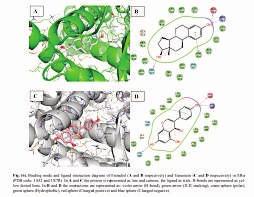 Genomic Preferential link to ER beta: Link to ER alpha: - 100x less than Estradiol Non genomic Througout