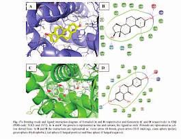 topoisomerases, 17β HSD, aromatases Epigenetic effects on DNA methylation, histone modification and