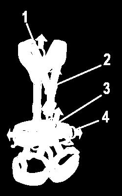 Selezione dei componenti dei sistemi di protezione individuale dalle cadute imbracatura per il corpo La selezione di