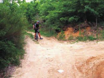 corrispondenza del km 3,5 di via della foresta in salita sulla sx dopo