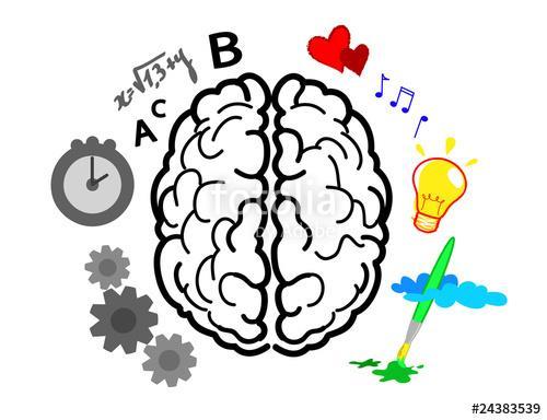 Stimolano allo stesso tempo l emisfero sinistro del cervello, attraverso l uso di