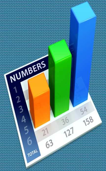 L utilizzo dello scoring informatizzato con foglio excel consente di produrre due tipi di output: 1. una tabella con il dato numerico dell indice interno di occupabilità; 2.