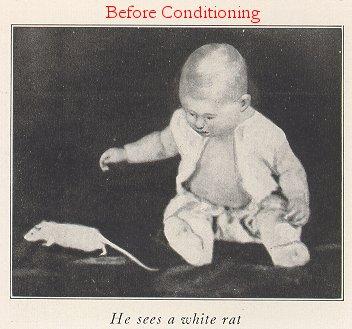 J. B. Watson (1878-1958): n sperimentò il condizionamento classico su un orfano di nove mesi di nome Albert -> "primo caso di fobia indotta sperimentalmente, associando uno stimolo neutro (un gattino
