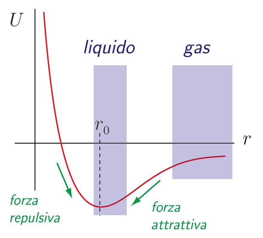 Forze tra molecole di un gas In un gas reale le forze tra i componenti (conservative) producono un potenziale attrattivo: Se: Quindi: Nota: la distribuzione di densità dipende dal rapporto tra l