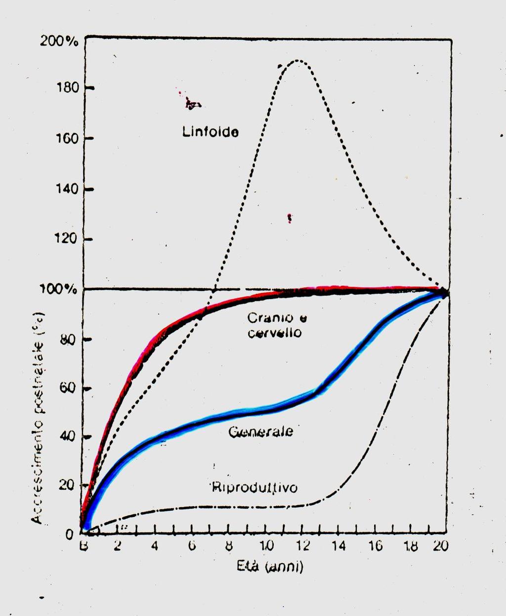 Le curve di