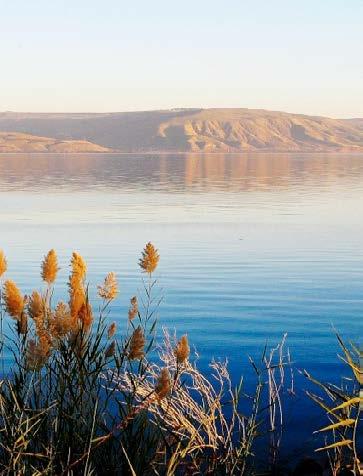 3 giorno, IL LAGO DI TIBERIADE Passando lungo il mare di Galilea, vide Simone e Andrea (Mc 1,16) Dopo la prima colazione, partenza per il Lago di Tiberiade, che nel Nuovo Testamento ha un ruolo molto