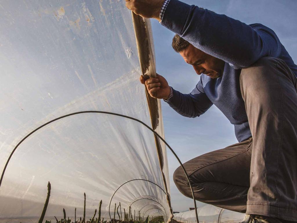 I produttori agricoli italiani