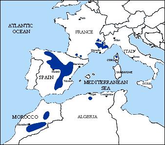 associate, nonché le strategie riproduttive, i tassi di natalità specie-specifici e l ampiezza