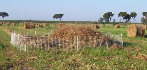 degli ambienti, Strategia nazionale per la