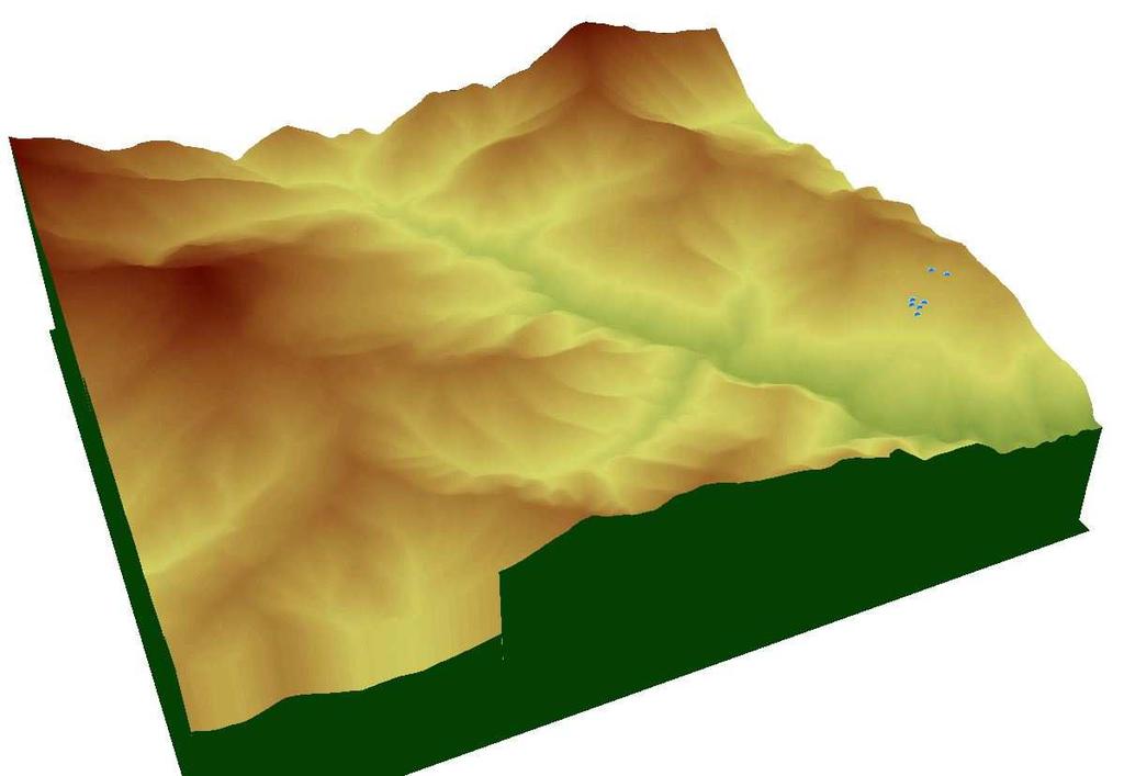 Fig. 412 - DTM del pendio che interessa l abitato di Cassingheno: il dissesto si sviluppa a partire dal crinale per interessare la zona sottostante in direzione dell asta torrentizia Nella relazione