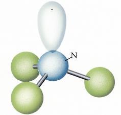 ^ 109,5 - NH 3 H N H - H 3 coppie di legame 1 coppia