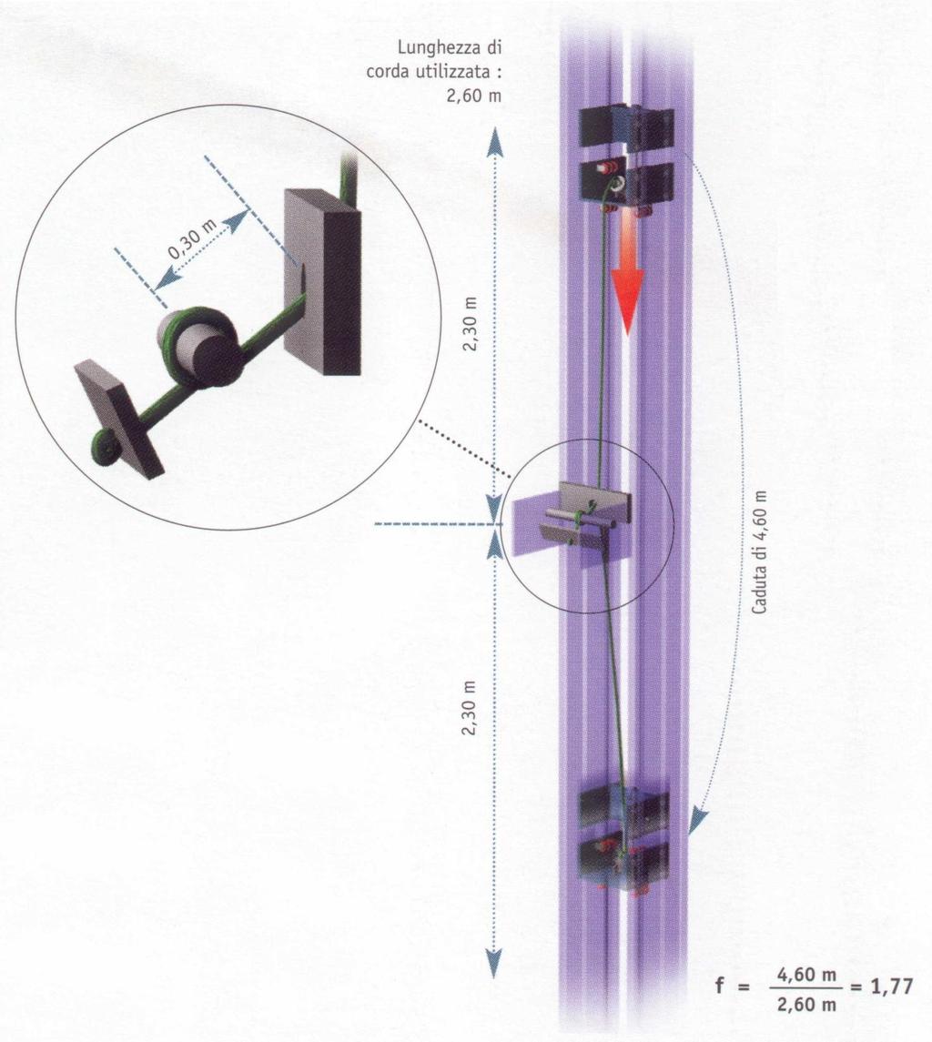 Elementi essenziali dell apparecchio massa (80 kg -55 kg)