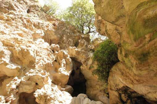 2 - La Grotta di Nettuno Questa è una grotta. La grotta è un grande buco nella roccia. In questa grotta c è tanta acqua. Questa acqua è del fiume Aniene.