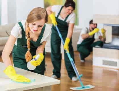 Offre servizi di pulizia nell ambito delle attività industriali, del grado di igiene delle superfici e delle