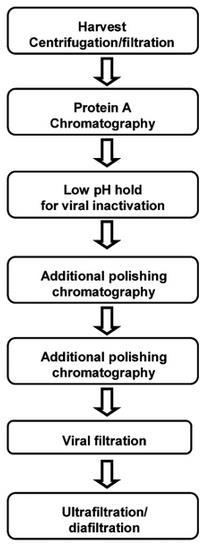 Figura 1.1: Tipico processo per la purificazione di anticorpi monoclonali [16].