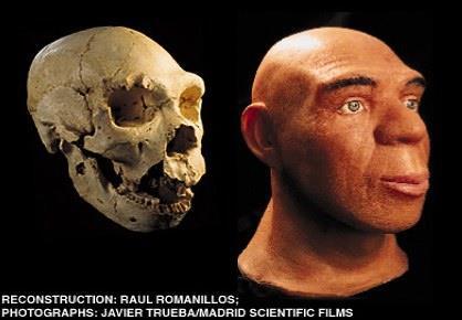 HOMO SAPIENS NEANDERTHALENSIS Homo sapiens neanderthalensis, vissuto da circa 250.000 a 30.