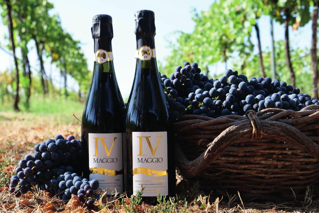 LAMBRUSCO SECCO DELL EMILIA I.G.T.