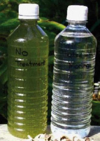 5.4 Prodotti di trasformazione Da non sottovalutare è anche il valore economico della Moringa oleifera da cui si possono ricavare una vasta gamma di prodotti.