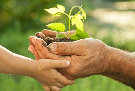 Nuova missione per consolidare il nostro progetto Nuova mission dell Accademia Generare SVILUPPO SOCIALE offrendo agli UNDER 35 un ESPERIENZA di CRESCITA attraverso il CONTRIBUTO CONCRETO in