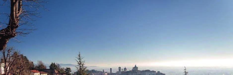 Storia Nato a Bergamo nel 2011, da alleanza con parti datoriali, sindacali, istituzioni e società scientifiche Riconosciuto