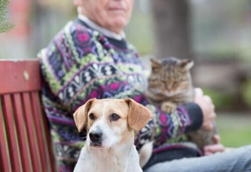 Rassegna stampa Vivere meglio con cani e gatti In Inghilterra alcuni ricercatori hanno fatto uno studio su tremila anziani. Lo studio dice che quando c è un animale in casa le persone stanno meglio.