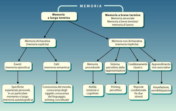 Memoria a lungo termine Esperienze Informazioni ESPLICITA / DICHIARATIVA coinvolta nel richiamo e nel riconoscimento intenzionale e consapevole di esperienze ed informazioni; richiedono compiti