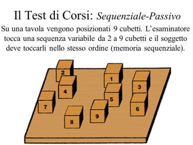 Test che esplorano la MeBT: test di span valutano la memoria immediata e cioè la quantità di informazioni che un soggetto può riprodurre dopo la somministrazione degli stimoli operativamente: lo span