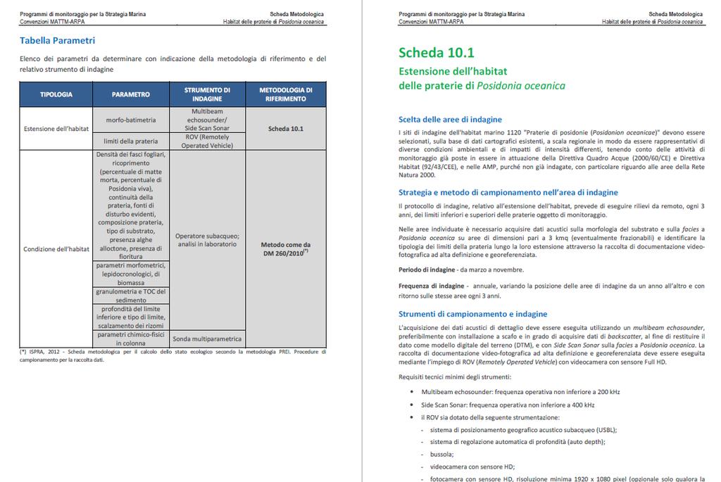 Monitoraggio degli habitat e specie marine di interesse unionale LE SCHEDE DI MONITORAGGIO: PARTE OPERATIVA Estensione dell habitat Condizioni