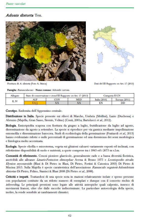 Monitoraggio delle specie vegetali di interesse unionale 118 schede di monitoraggio LICHENI: 1 scheda La direttiva tutela il genere Cladonia nel suo complesso (reporting complessivo che integri i