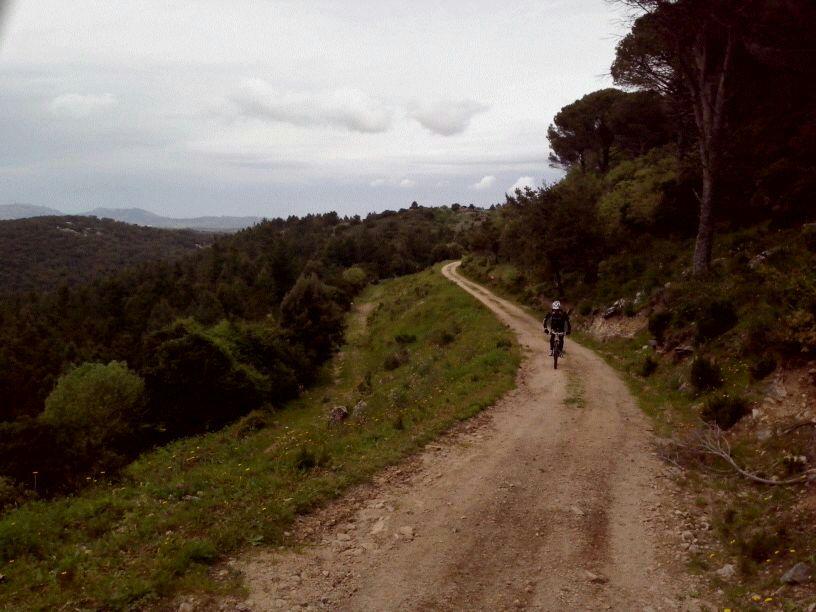 Sul Parco del Limbara per ossigenarsi i polmoni Itinerario più impegnativo nella costa Ovest Una valida alternativa porta a occidente, con Alghero come base di partenza per un tour più lungo, tra